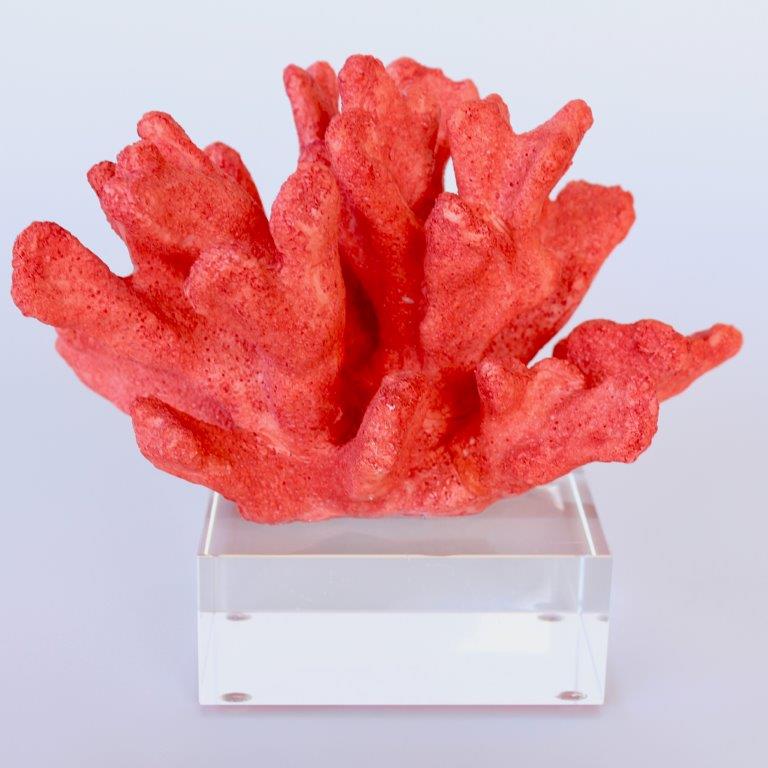 Red Coral On Crystal Base